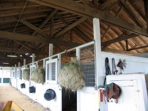 "Heading for the Barn"