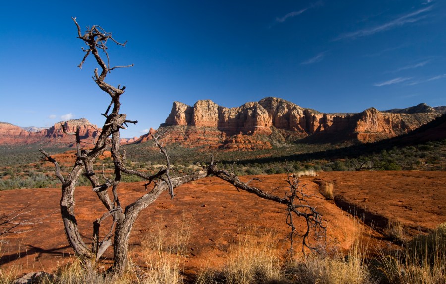 'Earth Chakra, Root, Red, Security, Safety'