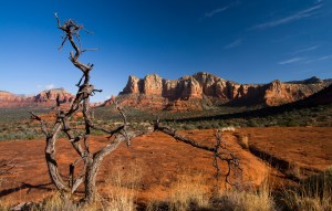 Earth, Root Charka, Security, Safety, Spontaneity