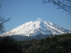 Mt St Helens Washington