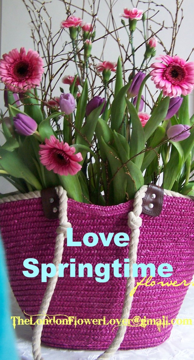 the london flower lover love spring time flowers