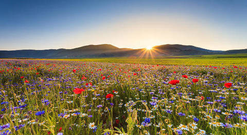 3548F751-6C4D-42FF-954C-27C4ADF51D9B