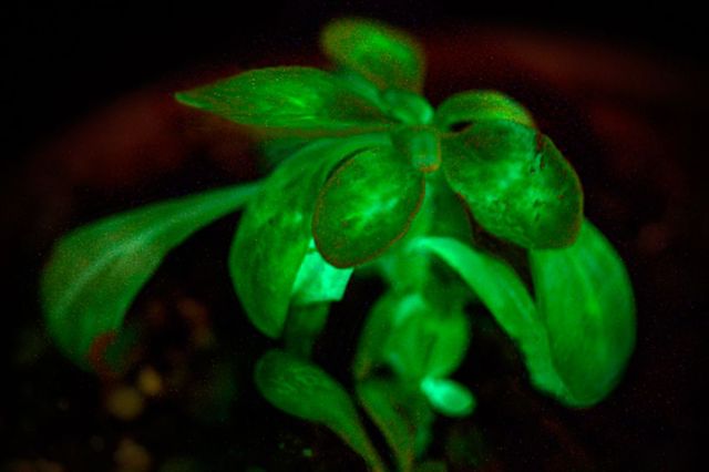 59C91994-AB93-4D79-9A0B-819855110A5C