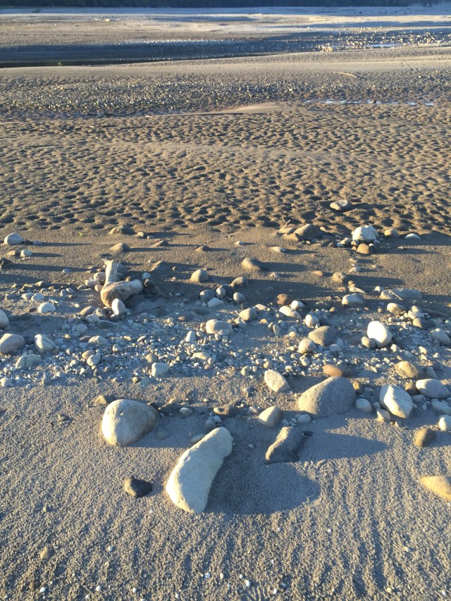 5C5469FB-D207-432E-AC4E-F053D54E364D