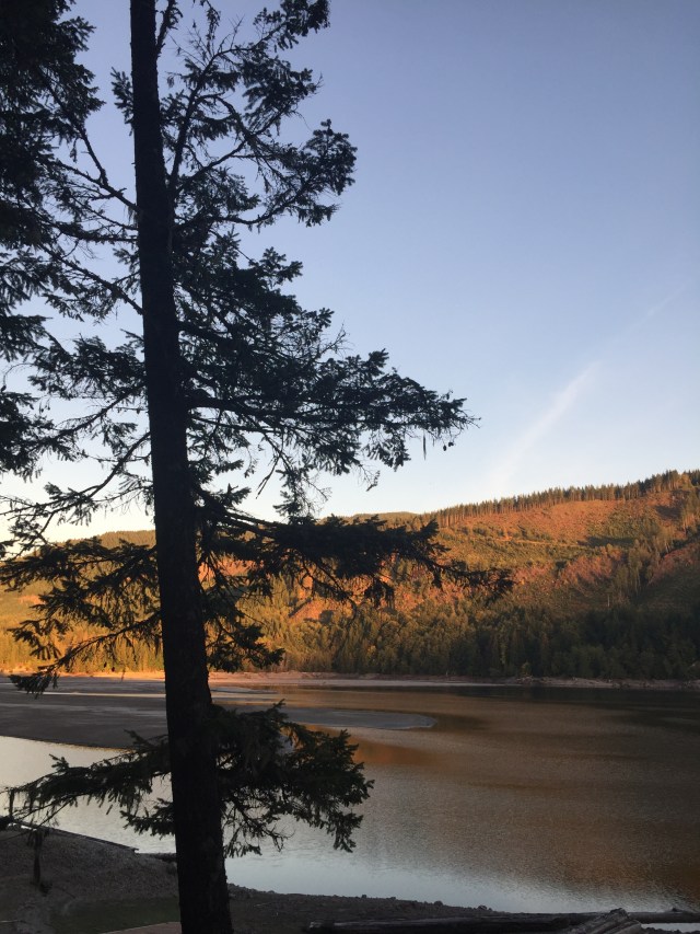 6D8B7A6E-1862-4B1D-89E2-EBCEEE8BA6EE