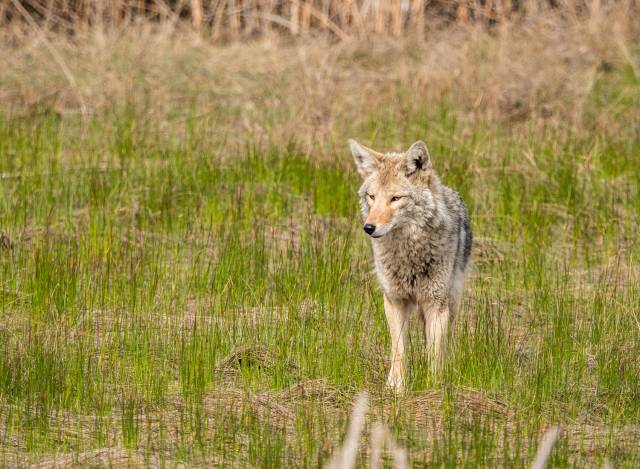 CFF594CE-B69E-4F09-B155-39AD81BDA23F