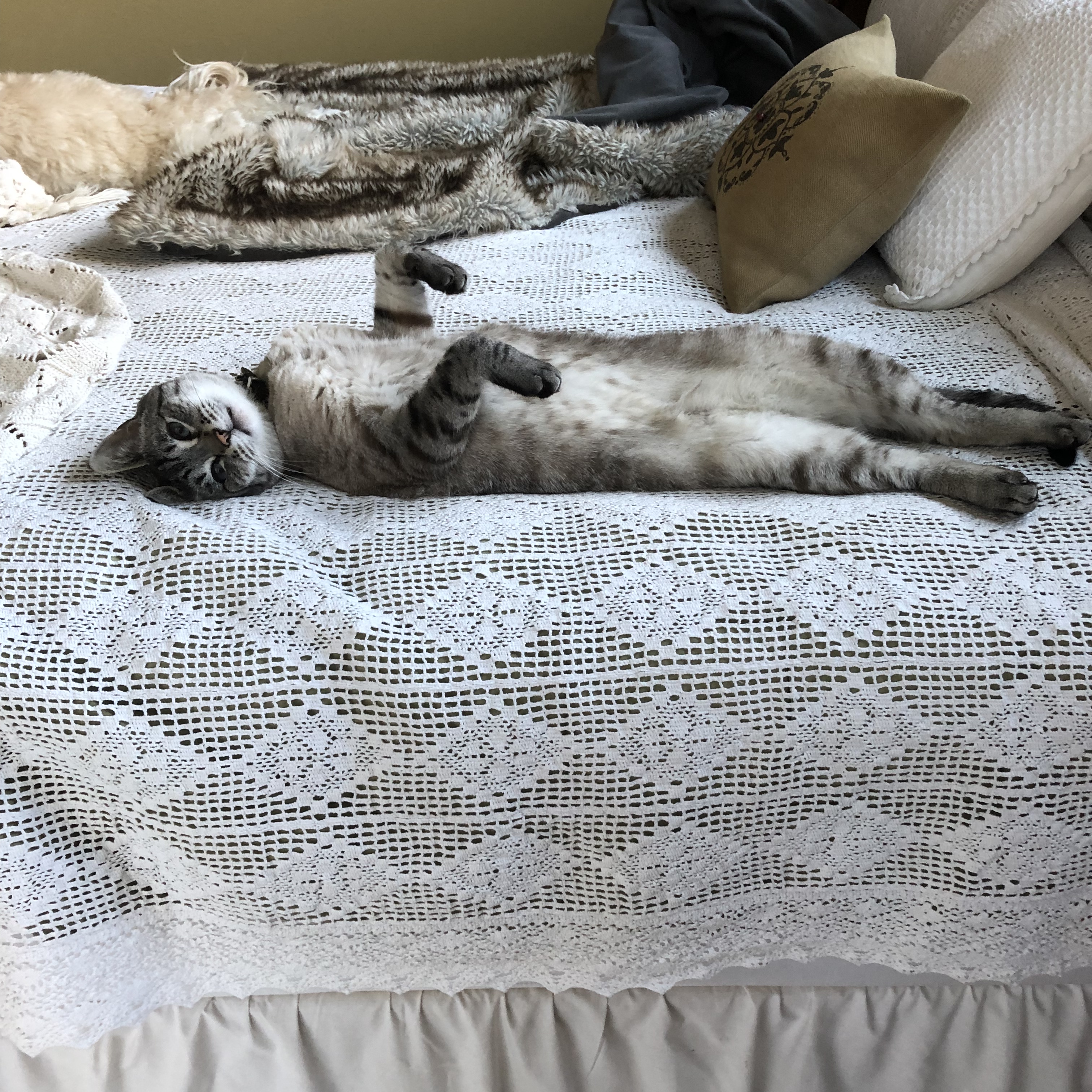 EB1DA266-FE3F-4B5A-852E-20D1FDEE15B6