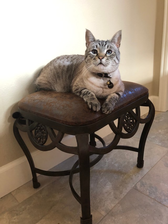 EDF737AD-BF65-4C65-B88A-6C763BE308E0