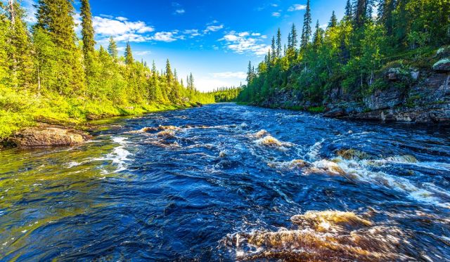 9E1FD18D-5C55-4691-B235-D2162E771D56