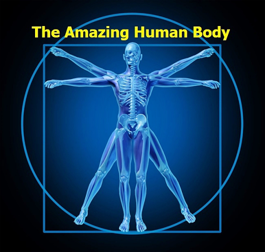 CBB3B6E3-19A6-4B78-90E4-21776D623C6F