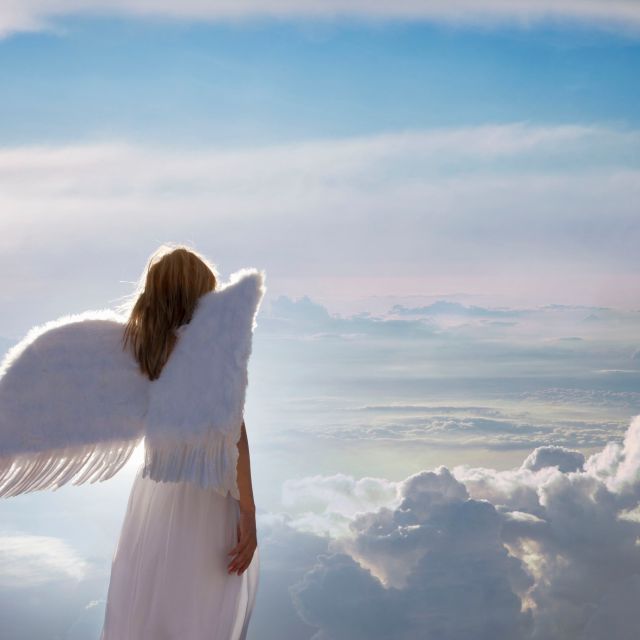 2F0A3181-8ECF-43DE-8D31-3E2241CA6FCE