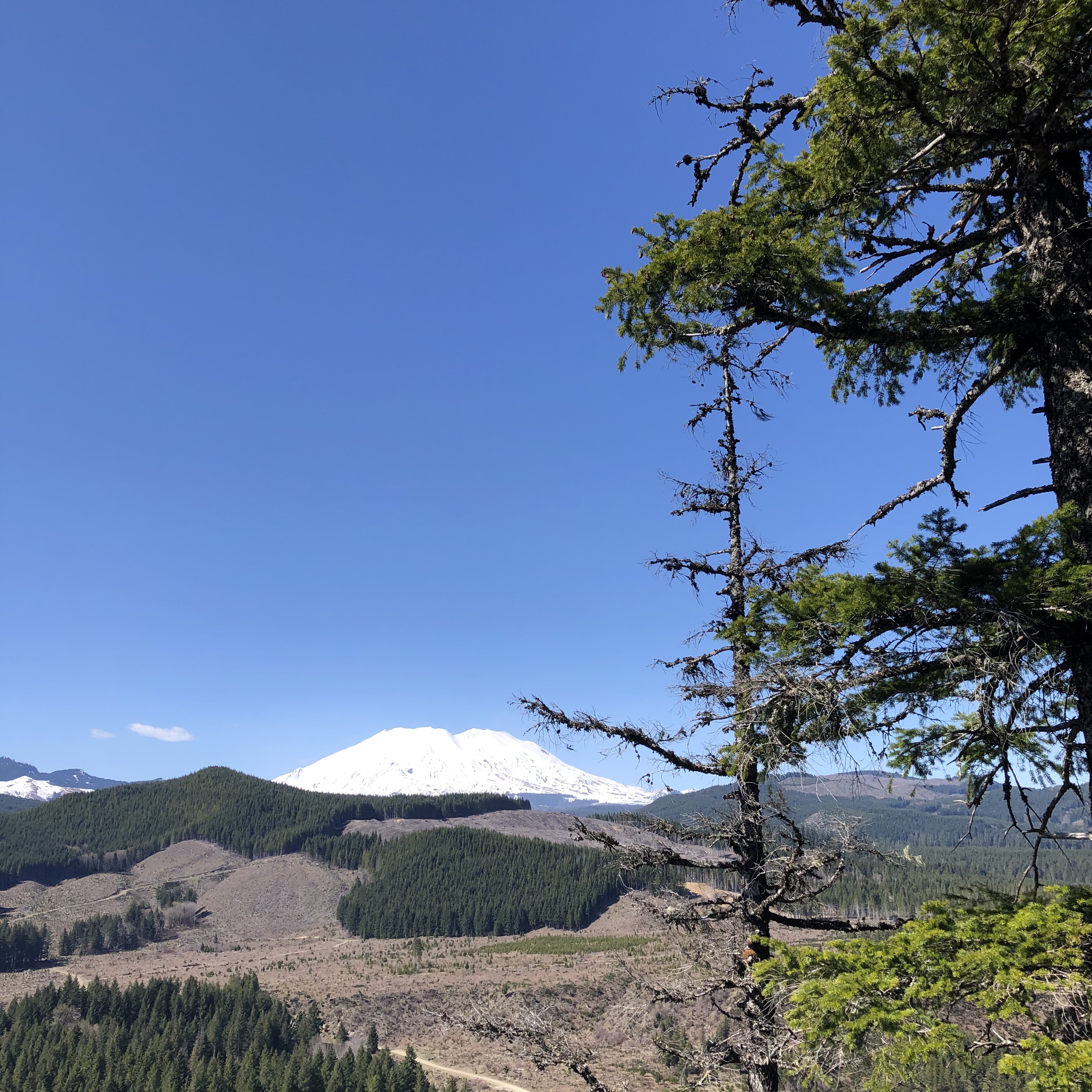 F6F42FA5-A711-4902-8AA8-CA6B81AD719E